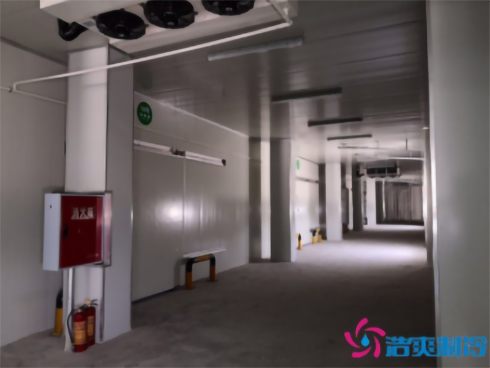 食品泡芙APP短视频建造公司