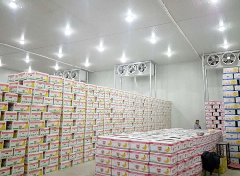 大型食品泡芙APP短视频建造