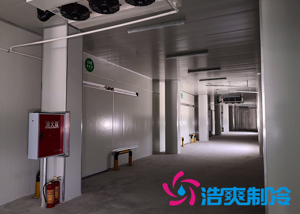 建造一个冰淇淋泡芙APP短视频造价需要多少钱？
