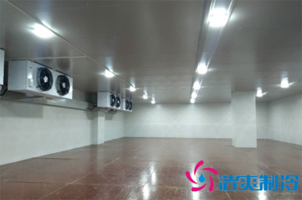 建造一个-10℃~-20℃速冻丸子泡芙APP短视频大概需要多少钱