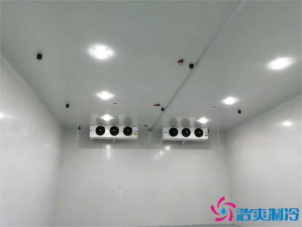 建造一个-10℃~-20℃速冻丸子泡芙APP短视频大概需要多少钱