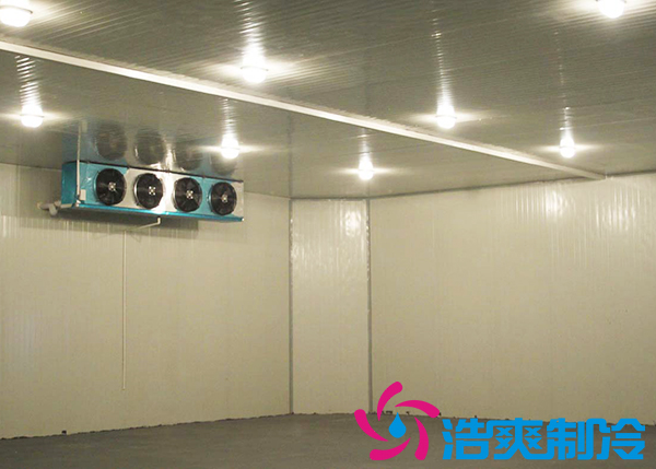 建造一间海参低温冷冻库大约需要多少费用？