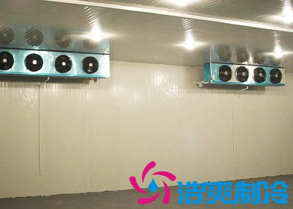 建造一间海参低温冷冻库大约需要多少费用？