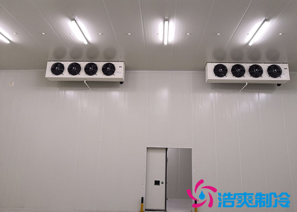 建造一个10000平方米生鲜泡芙APP短视频冷链仓储配送需要投资多少费用？