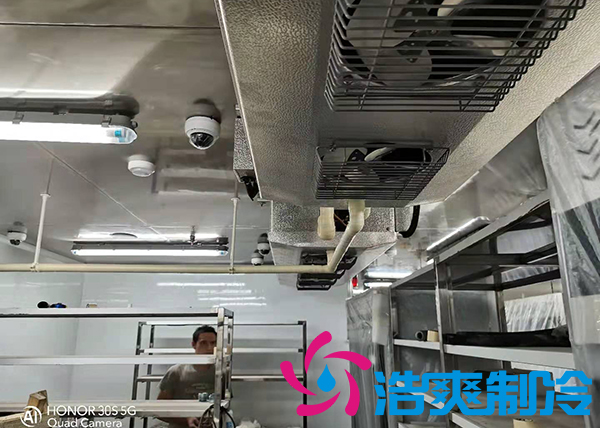 建造1000吨土豆保鲜库需要多少安装费用？_泡芙视频官网下载免费制冷