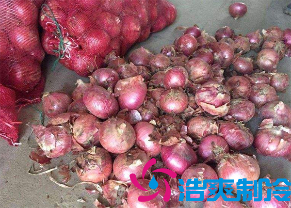 建造1000吨洋葱保鲜泡芙APP短视频安装费用是多少？