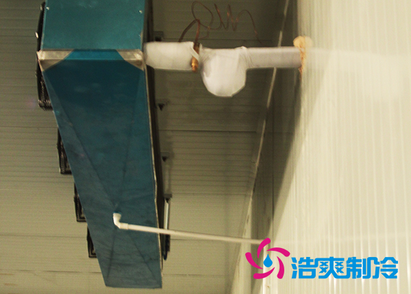 建造大型农产品基地泡芙APP短视频造价需要投资多少费用？