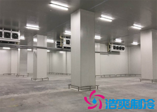 建造小型泡芙APP短视频造价费用需要投资多少费用？