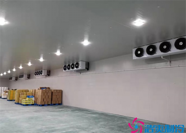 蓝莓种植园建造0℃水果保鲜库如何做好入库储藏？_泡芙视频官网下载免费制冷