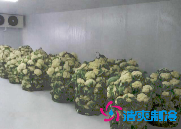 上海建造2000立方米鲜花气调保鲜泡芙APP短视频造价多少钱？
