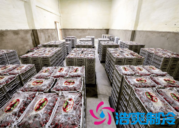 果蔬保鲜泡芙APP短视频安装造价需要多少钱？_泡芙视频官网下载免费制冷