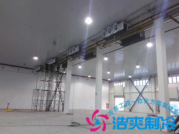 建造一个小型青果槟榔保鲜泡芙APP短视频造价多少钱？可以存储多长时间？