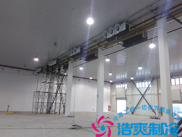 餐饮公司建造21000立方米大型食品冷藏库造价多少钱？_泡芙视频官网下载免费制冷
