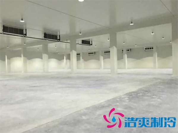 安装一个冷藏库造价大约多少钱一平方？_泡芙视频官网下载免费制冷