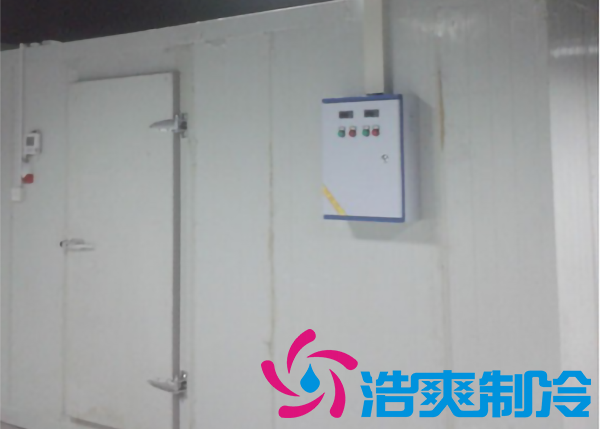 安装一个冷藏库造价大约多少钱一平方？_泡芙视频官网下载免费制冷