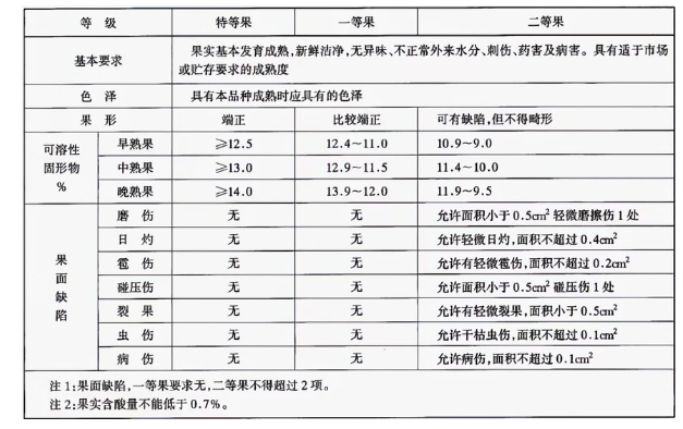 李子泡芙APP短视频建造完成后如何用于储存的？这些你都知道吗