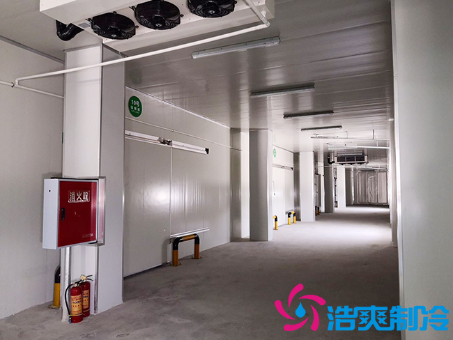 芭蕉气调保鲜库安装如何确保果实的长期储存？_泡芙视频官网下载免费制冷