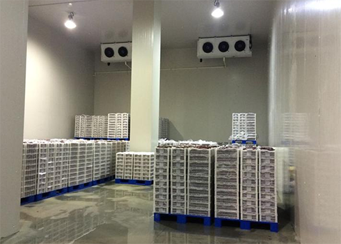 建造安装1000㎡泡芙APP短视频造价大概需要多少费用？_泡芙视频官网下载免费制冷