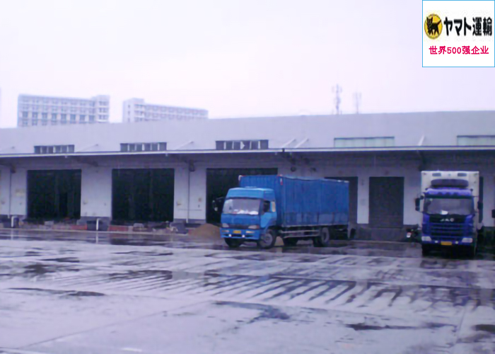 雅玛多（中国）大型物流泡芙APP短视频建造工程