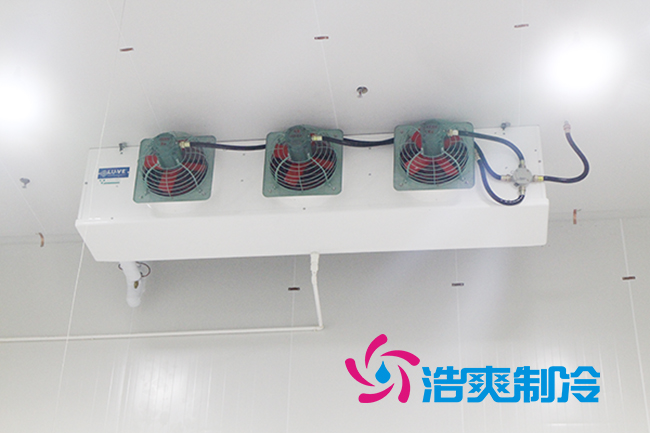 食品调味泡芙APP短视频安装设计方案，调味料冷藏库造价表