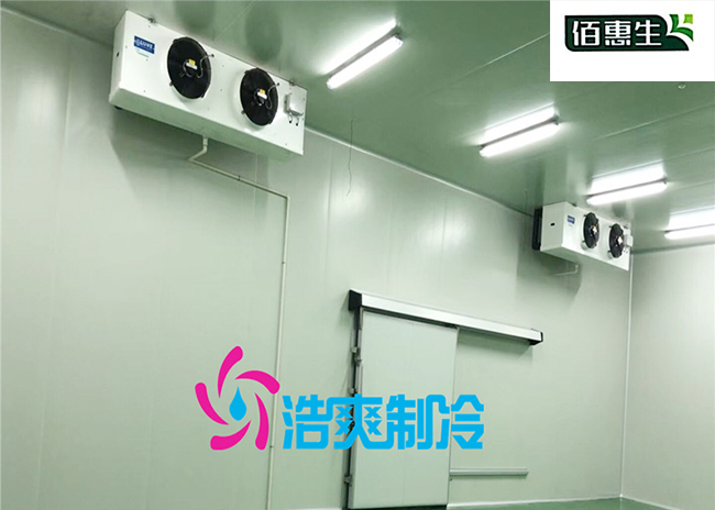 内蒙古佰惠生5800m³鲜酵母泡芙APP短视频建造