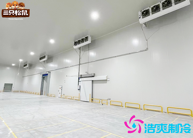 安徽三只松鼠30000m³食品泡芙APP短视频建造