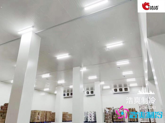 长沙洽洽5000立方食品原料加工泡芙APP短视频