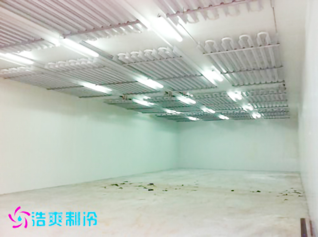 2500m³食品原料/成品泡芙APP短视频建造工程