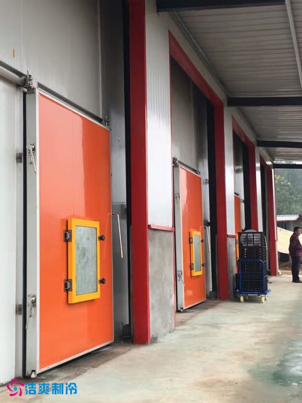 巴中葡萄种植合作社气调保鲜泡芙APP短视频建造