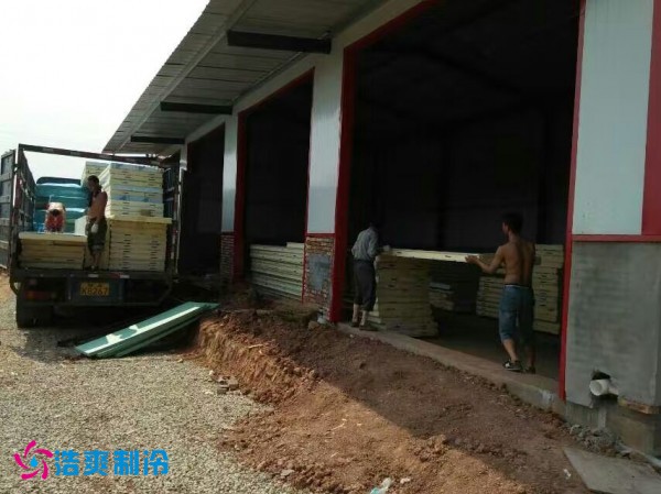 巴中葡萄种植合作社气调保鲜泡芙APP短视频建造