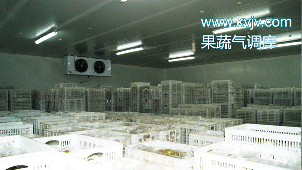 衢州蜜之源果业气调保鲜泡芙APP短视频建造工程 衢州蜜之源果业气调保鲜泡芙APP短视频建造工程