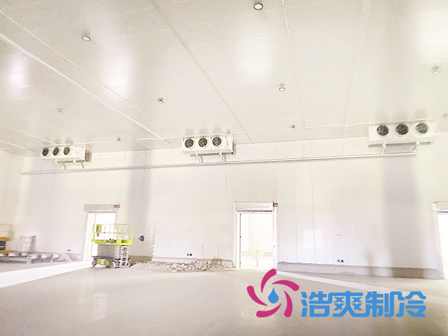 建造100平方米泡芙APP短视频包含整套设备安装整体需要多少钱？_泡芙视频官网下载免费制冷