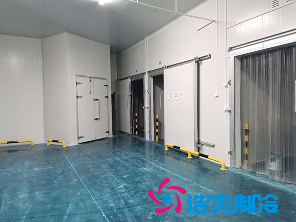 上海诺心实业38000m³食品原料泡芙APP短视频建造