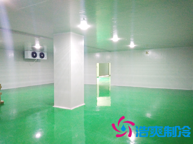 上海立净淮安百斯特农业园保鲜泡芙APP短视频建造
