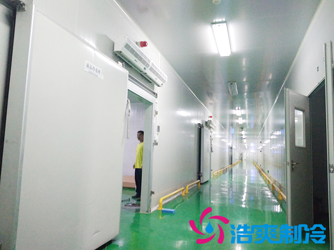 上海立净淮安百斯特农业园保鲜泡芙APP短视频建造