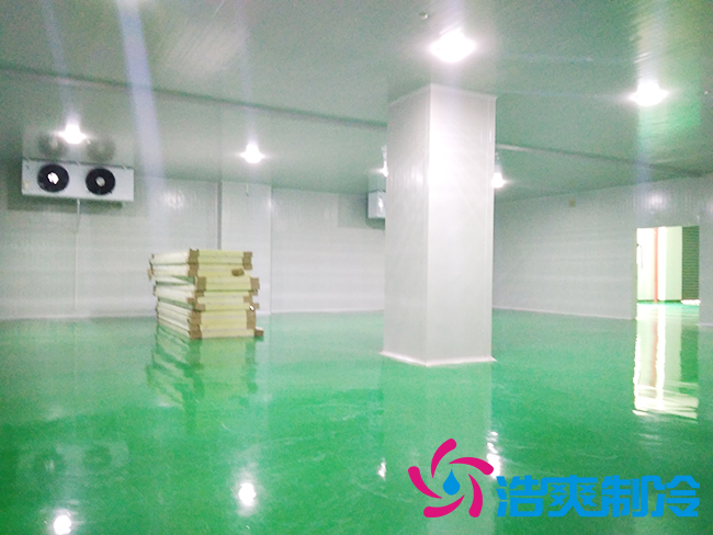 上海立净淮安百斯特农业园保鲜泡芙APP短视频建造