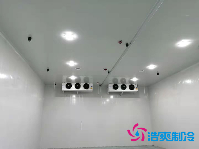 泡芙APP短视频安装0℃~+15℃保鲜泡芙APP短视频建造方案及造价标准_泡芙视频官网下载免费制冷