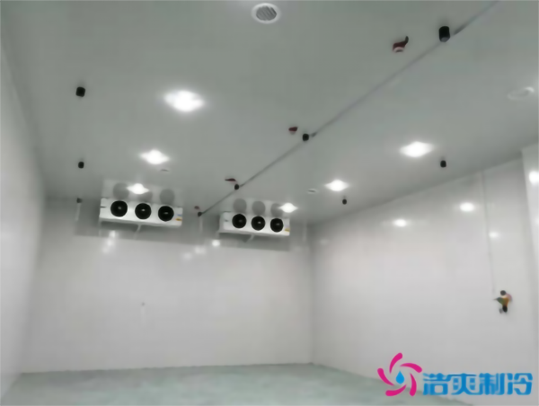 水果泡芙APP短视频保鲜温度是多少_水果泡芙APP短视频造价多少钱一立方_泡芙视频官网下载免费制冷