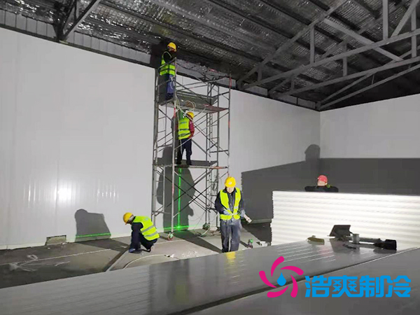 建设大型低温食品冷链物流仓库造价标准多少钱？-泡芙视频官网下载免费制冷