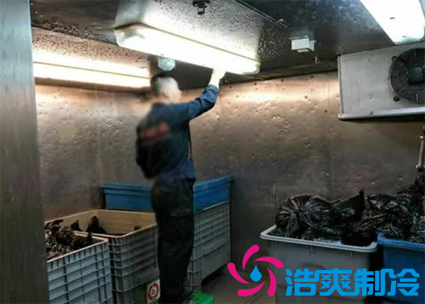 地下室垃圾场泡芙APP短视频设计规范要求标准（已更新）-泡芙视频官网下载免费制冷