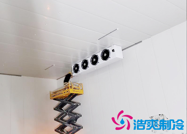 建一个速冻泡芙APP短视频设备报价大概需要多少钱？-泡芙视频官网下载免费制冷