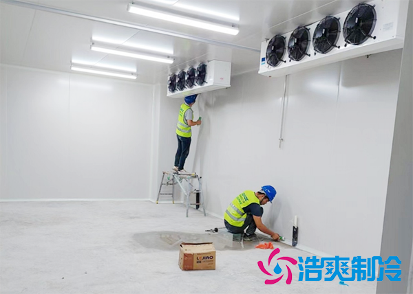 建一个5000平米土豆泡芙APP短视频（冬储库）价格多少钱？-泡芙视频官网下载免费制冷