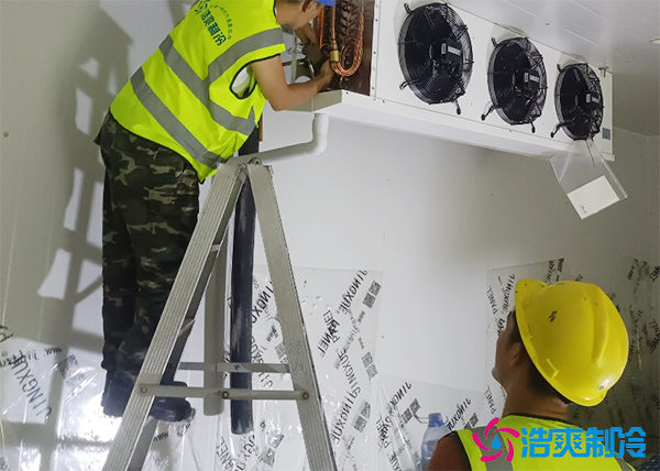 生鲜蔬菜配送中心泡芙APP短视频建造多大合适？大概需要多少钱？-泡芙视频官网下载免费制冷