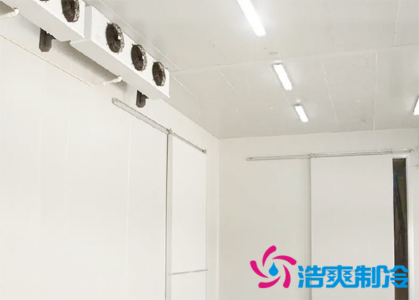 移动式泡芙APP短视频造价多少钱?可移动泡芙APP短视频价格-泡芙视频官网下载免费制冷