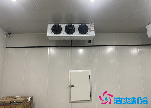 生鲜蔬菜市场泡芙APP短视频应该建多大？-泡芙视频官网下载免费制冷