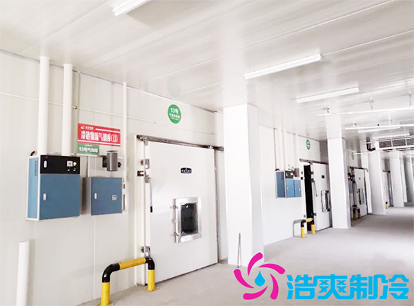 农产品批发市场建造700立方保鲜泡芙APP短视频全套制冷设备报价多少钱？-泡芙视频官网下载免费制冷