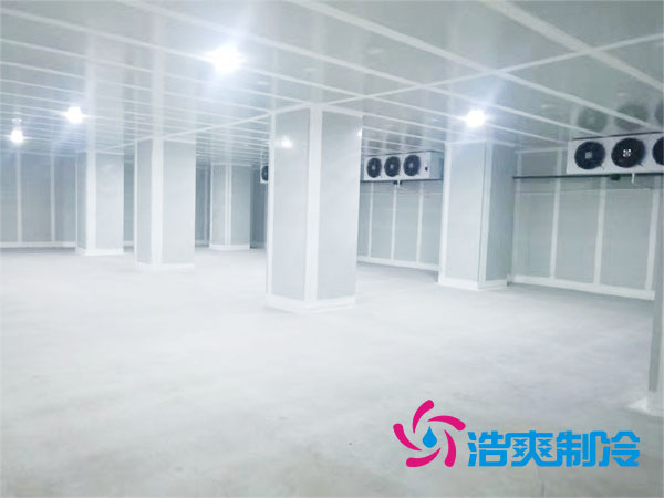 气调库造价多少钱一平方？气调保鲜泡芙APP短视频造价表-泡芙视频官网下载免费制冷