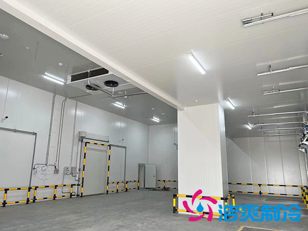 5万吨级大型泡芙APP短视频每平方米的费用是多少？