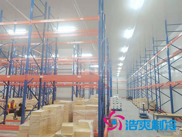 如何选择专业的生鲜冷冻物流泡芙APP短视频公司？-泡芙视频官网下载免费制冷