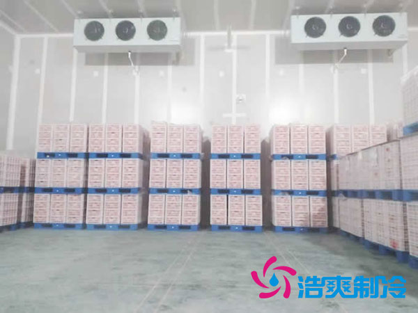 什么是气调泡芙APP短视频？气调库工作原理